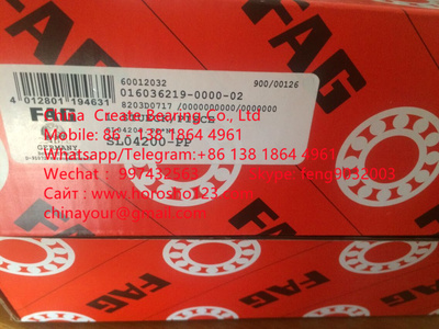 SL04200-PP